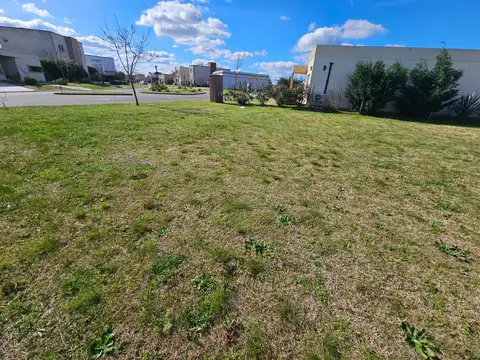 Terreno Lote  en Venta ubicado en San Ramiro, Pilar del Este, Pilar