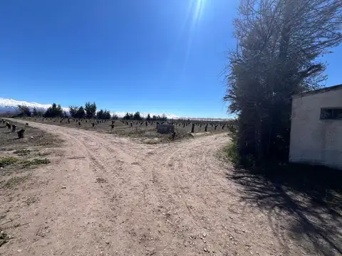 Ruta Provincial 92 100