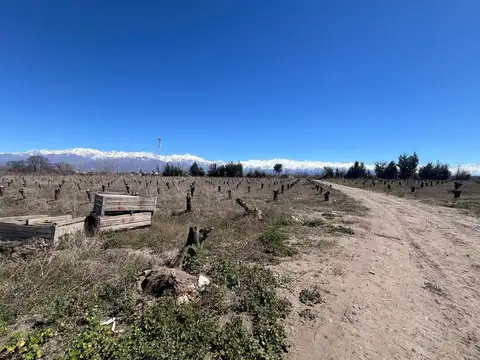 Ruta Provincial 92 100