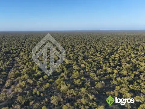 Campo ganadero en desarrollo de 3000 ha | Dragones, Chaco salteño | Salta