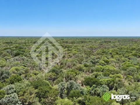 Campo ganadero en desarrollo de 3000 ha | Dragones, Chaco salteño | Salta