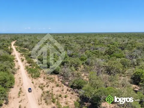 Campo ganadero en desarrollo de 3000 ha | Dragones, Chaco salteño | Salta