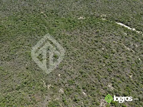 Campo ganadero en desarrollo de 3000 ha | Dragones, Chaco salteño | Salta