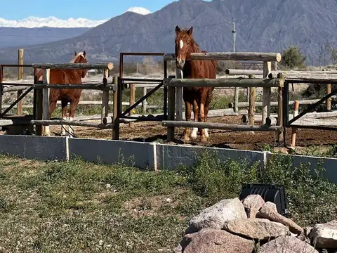 Terreno en Venta en Las Compuertas, USD 20.000