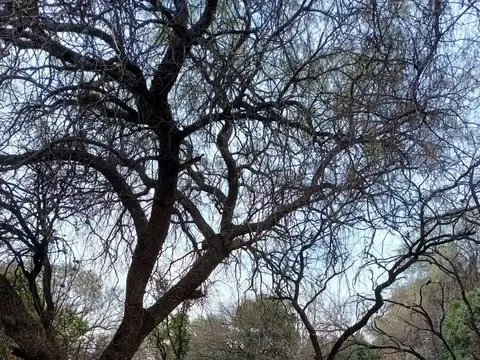 Terreno en Venta en Villa De Las Rosas, USD 25.000