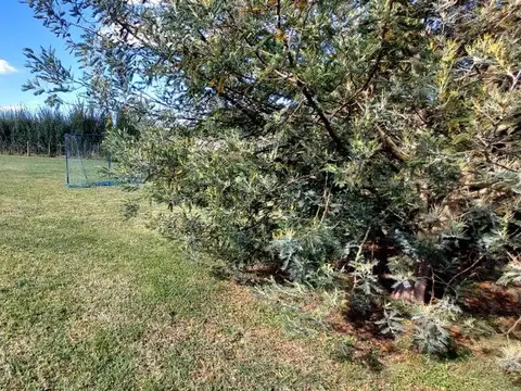 Terreno en Venta de 925,0 m2