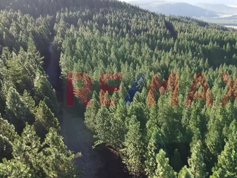 Terreno en Venta de 756,0 m2