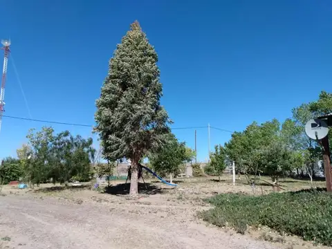 Quinta en Venta en Puerto Madryn, USD 115.000