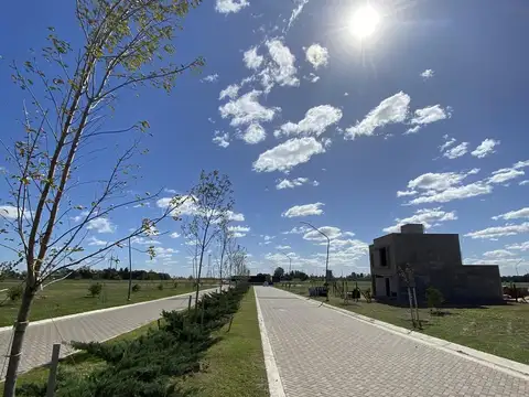 Terreno en Venta 12  mts Frente