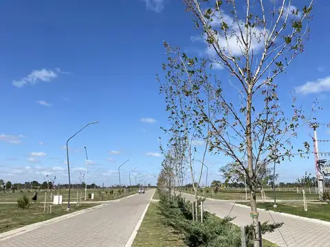 Terreno en Venta de 456,0 m2