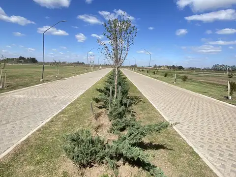 Terreno en Venta 38  mts Fondo