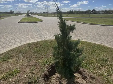 Terreno 456 m2 - EcoTierra - Pueblo Esther - Distrito Cero