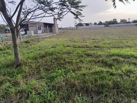 Correntoso