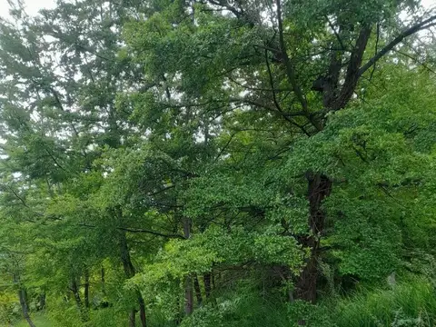 Terreno en Venta en Trevelin, USD 320.000