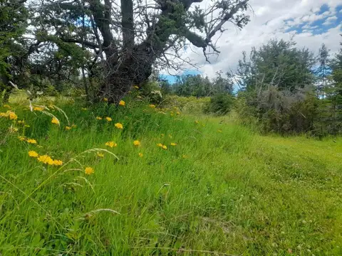 Terreno en Venta de 40000,0 m2