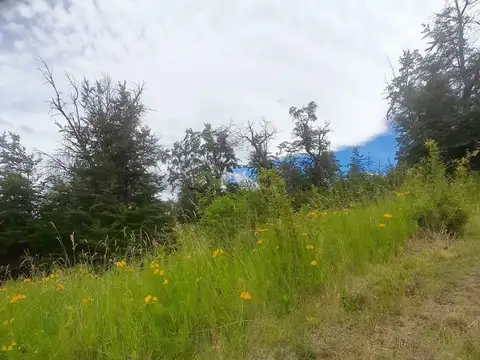 Terreno en Trevelin