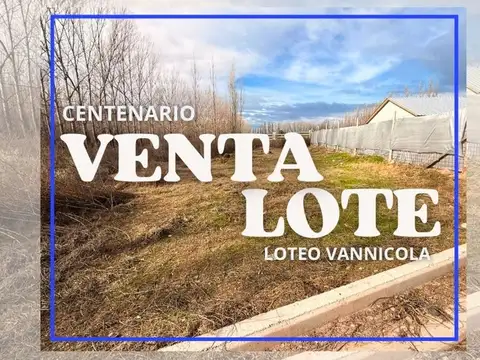 Terreno en Venta en Centenario, Confluencia