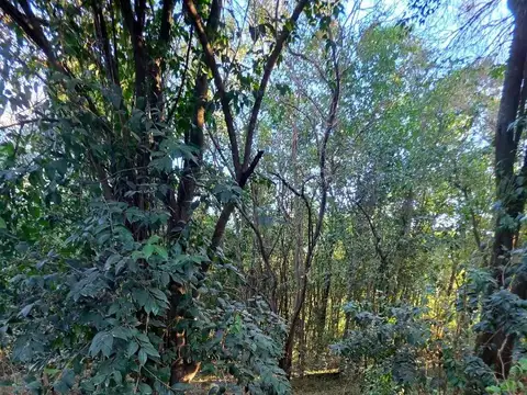 Terreno en Venta en Villa Los Altos, USD 20.000