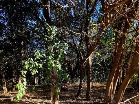 Terreno en Venta de 943,0 m2