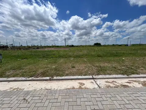 Terreno en Venta de 250,0 m2