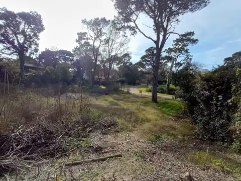 Terreno en Venta de 560,0 m2