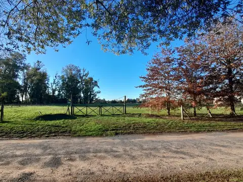 Terreno en Venta 153  mts Fondo