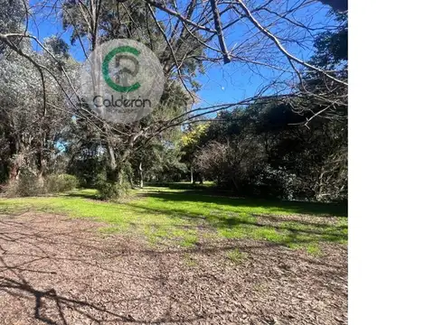 Quinta en Venta en Francisco Alvarez, USD 160.000
