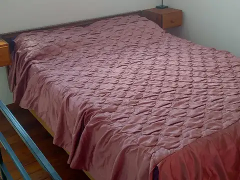 Chingolo 100