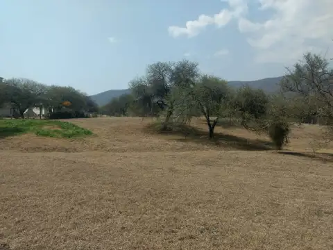 Terreno en Venta 61,38  mts Frente