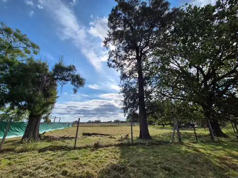 VENTA TERRENO 1000 MTS GRAL RODRIGUEZ ESCRITURA