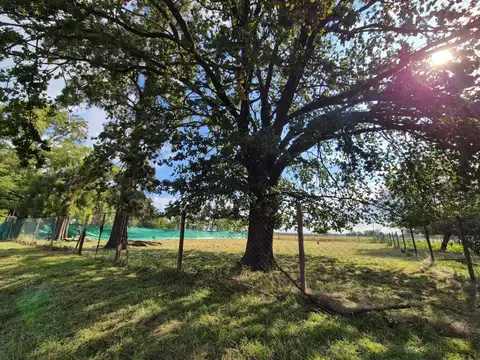 Terreno en Venta de 1095,0 m2