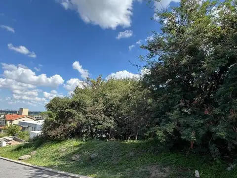5 Mza 369