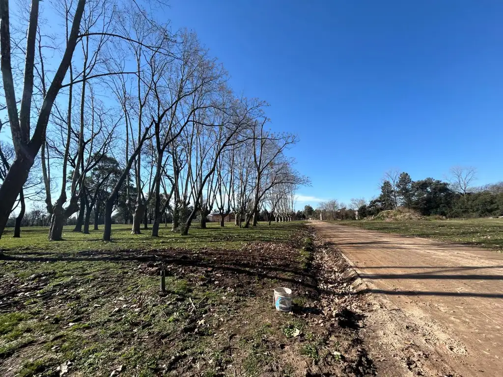 Terreno en Venta en La Pilarica