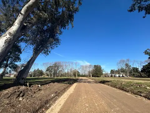 Almirante Guillermo Brown 2098