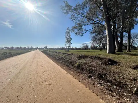 Lotes en venta en Barrio Parque Las Clemencias, La Pilarica