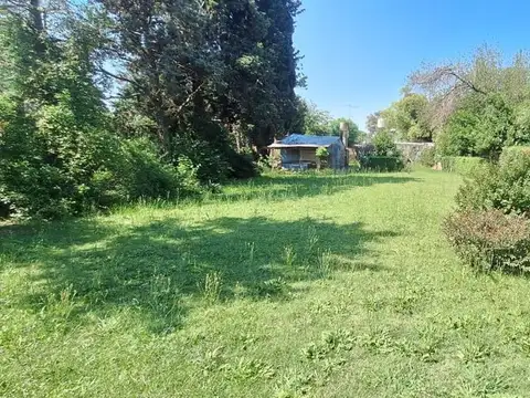 Miguel Angel Camino 4800