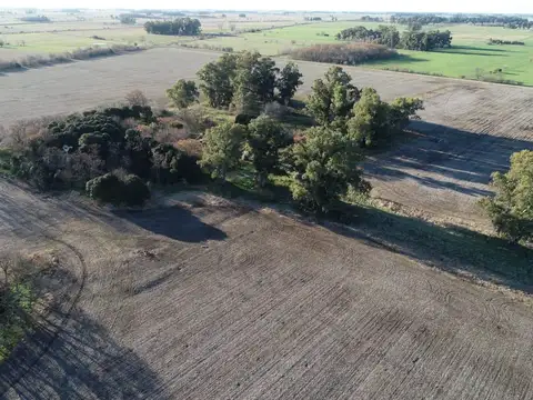 CHACRA EN LOBOS, ESTACION EMPALME.