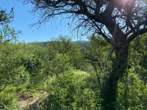 Camino público Loma Bola