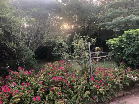 Local en Venta 50 años