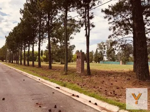 Altos de Zelaya