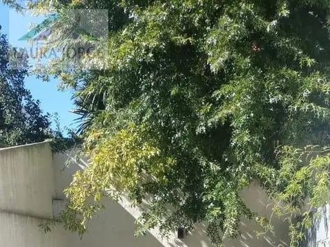 Depto Tipo Casa en Venta en Olivos Maipú/Uzal, USD 195.000