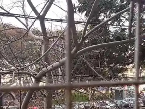 Franklin Delano Roosevelt 5000, Piso 1