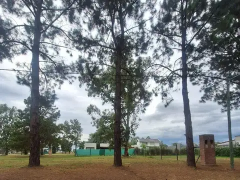Terreno en Venta en Barrio Nueva Zelaya, USD 31.500