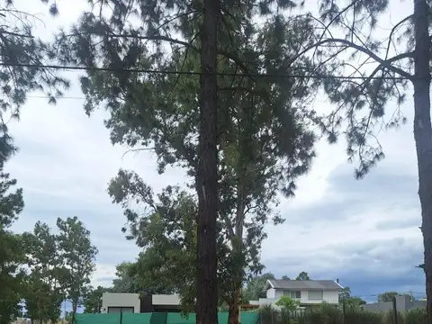 Rbs. Hermoso Lote Interno En Nueva Zelaya, Etapa 1