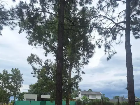 Terreno en Venta de 375,0 m2