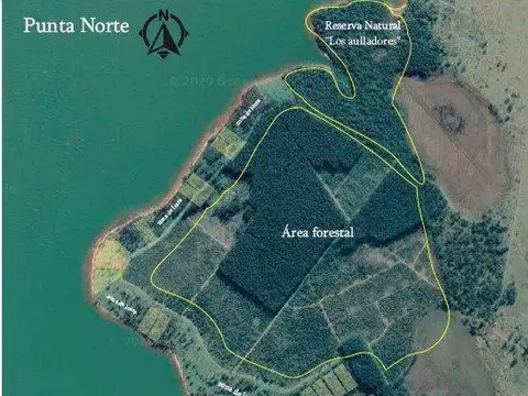 Terreno en Venta de 5000,0 m2