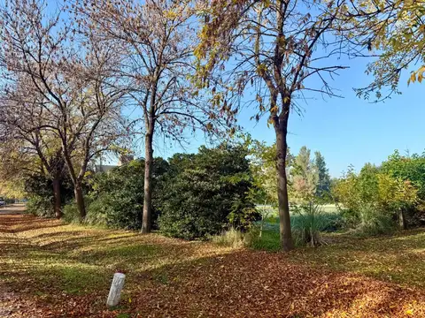 Club De Campo San Francisco