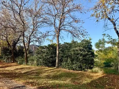Terreno En Venta En Club De Campo San Francisco Manzanares
