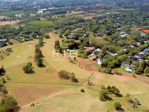 Muy buen lote central de 1517