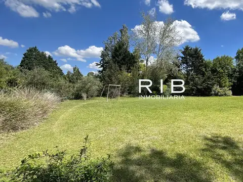 Muy buen lote central de 1517